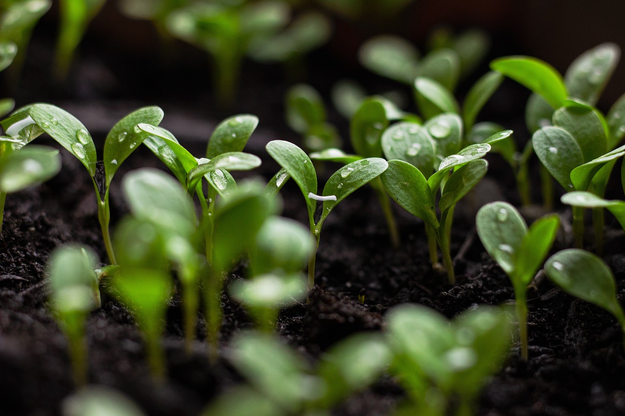 découvrez le concept de leadership durable, une approche innovante qui allie performance économique, responsabilité sociale et préservation de l'environnement. apprenez comment les leaders d'aujourd'hui peuvent inspirer un changement positif et durable au sein de leurs organisations et dans la société.