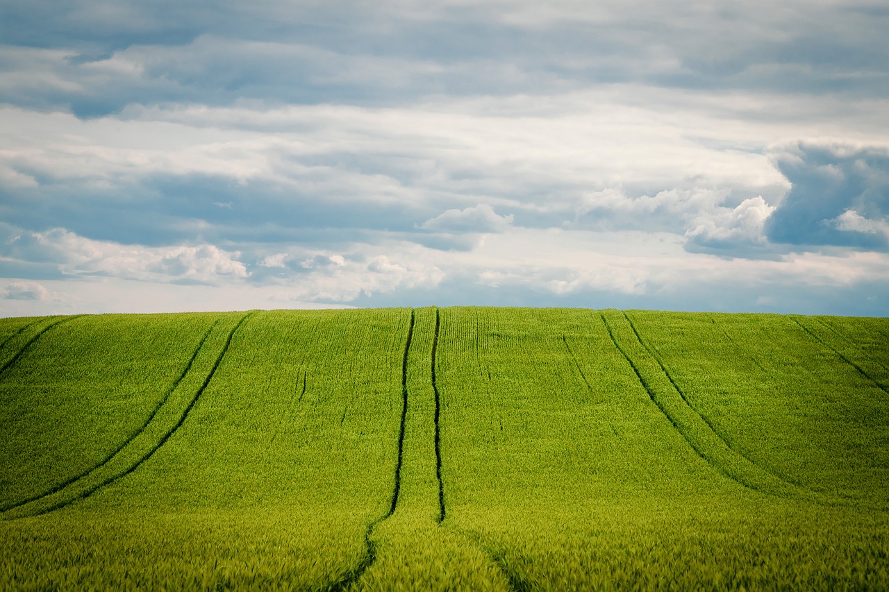 découvrez le monde de l'agriculture : techniques modernes, durable et respectueuse de l'environnement pour une production alimentaire optimisée. explorez les tendances, les innovations et les meilleures pratiques du secteur.