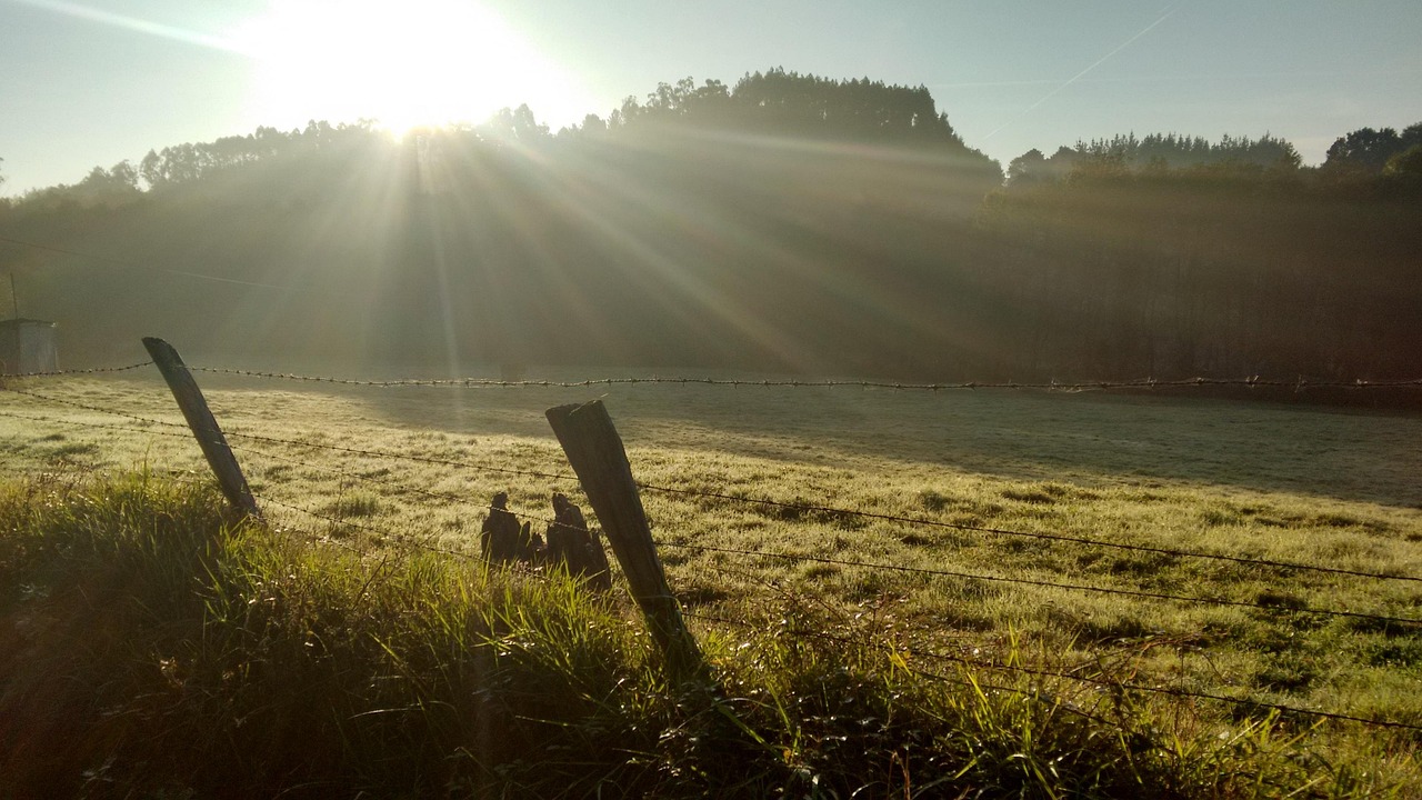 découvrez l'importance de la gratitude dans votre vie quotidienne. plongez dans des conseils pratiques pour cultiver la reconnaissance et transformer vos relations, votre bien-être et votre perspective. apprenez à apprécier les petites choses et à vivre plus pleinement grâce à la puissance de la gratitude.